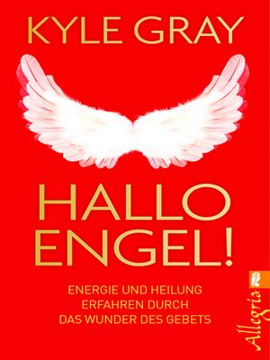 cover image of Hallo Engel!